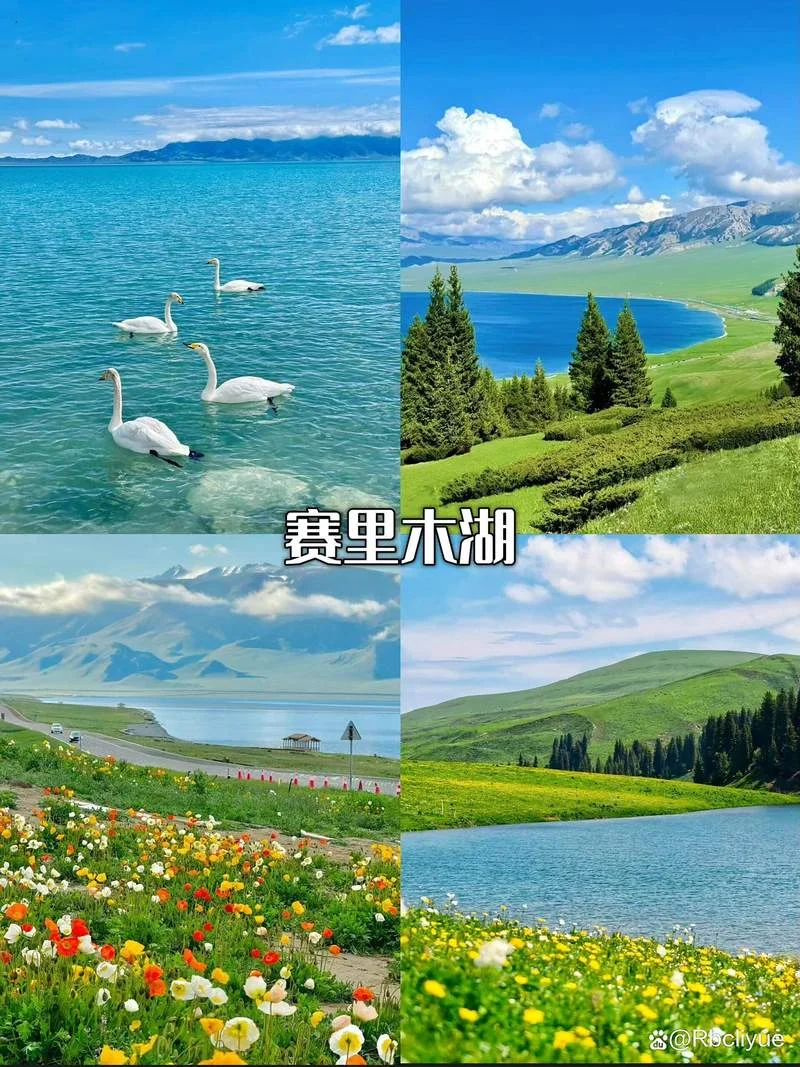 新疆15日游大概多少钱_2
