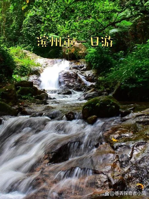 滨州一日游最佳景点自驾游_1