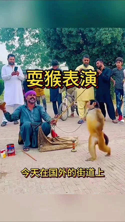 耍猴儿出自哪里_2