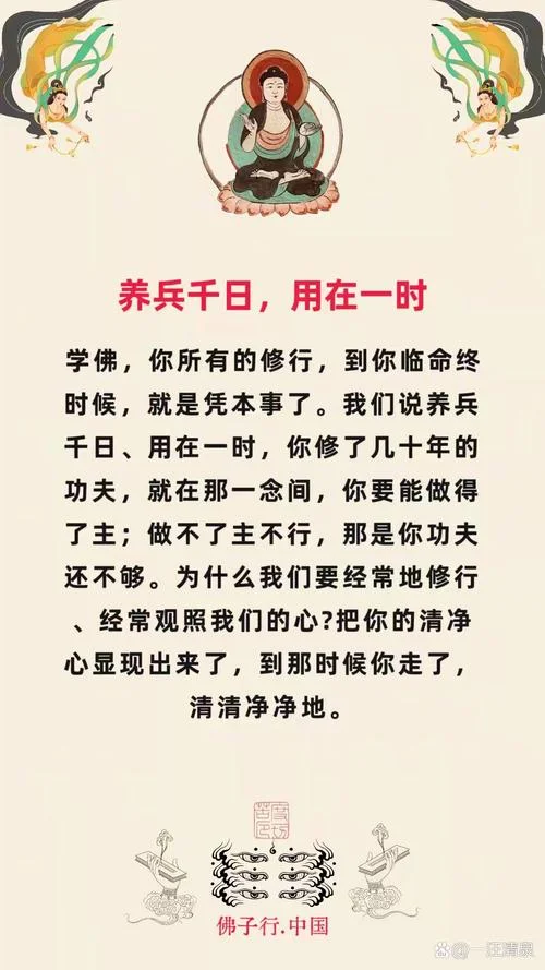 慈不养兵出自哪里_1
