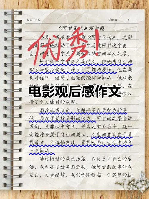 摄影宣传单体验感悟_1