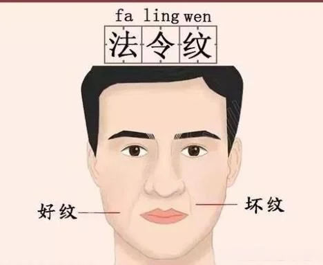 法令纹下面的纹叫什么_1