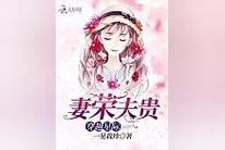 妻荣夫贵大结局-妻荣夫贵终
