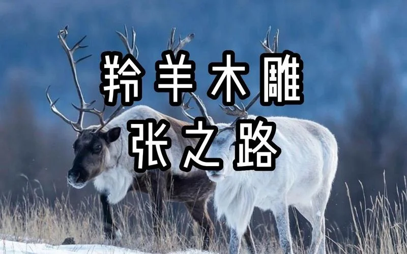 张之路羚羊木雕读后感_1