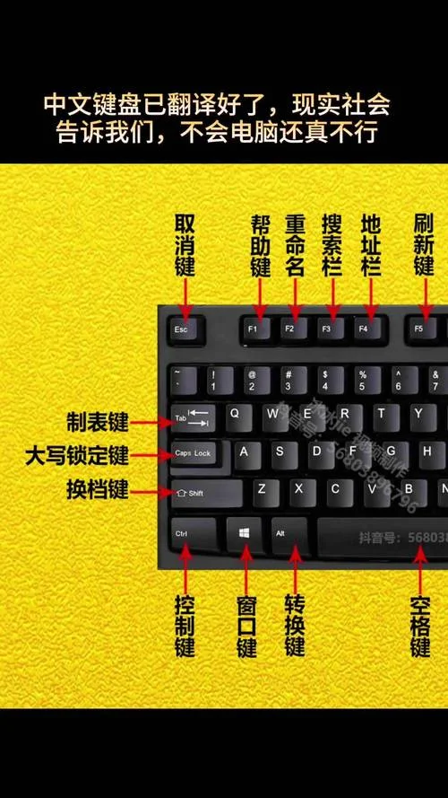 新手怎么学电脑打字-新手电脑打字教学