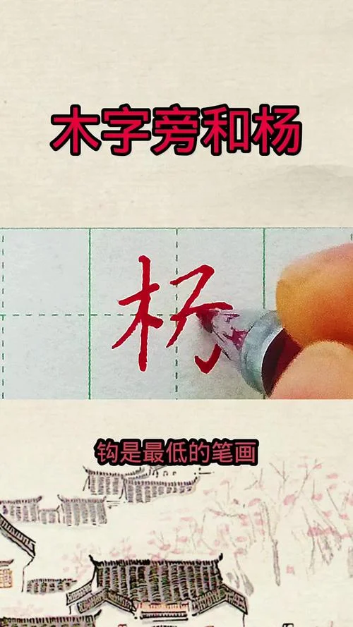 杨字怎么写田字格_2