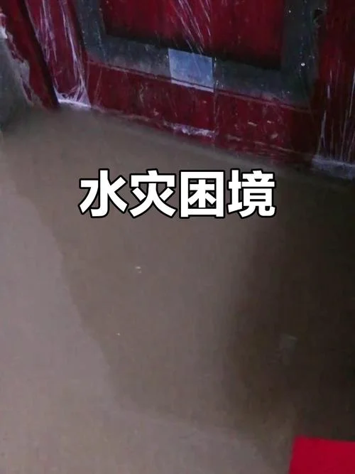 我梦见房子下雨露水_1