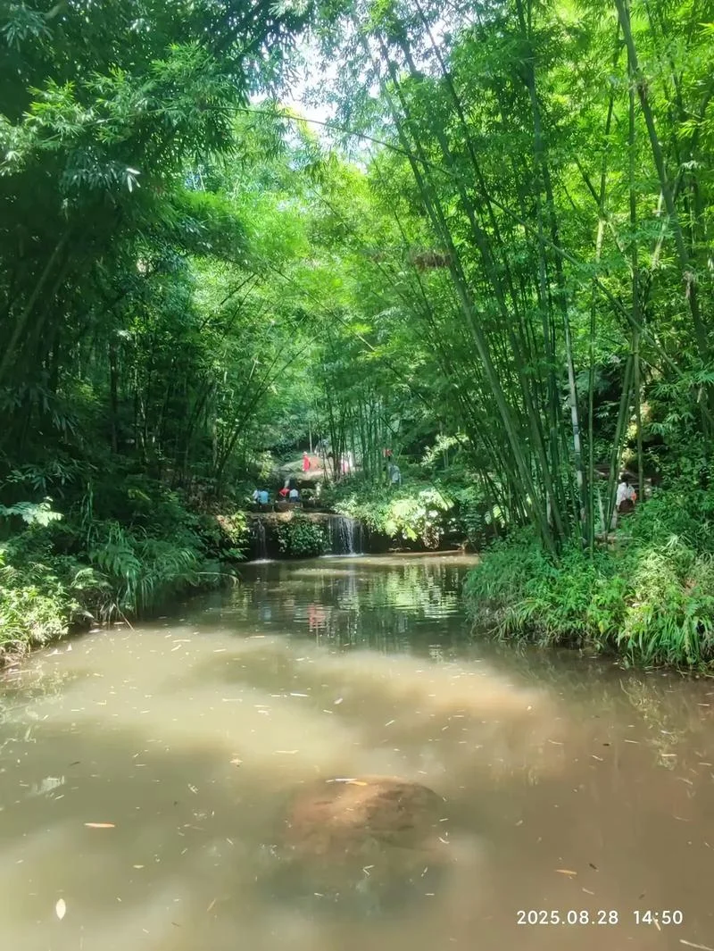 蜀南竹海的景点有哪些-蜀南竹海景点列举
