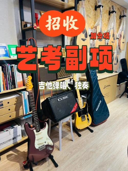 音乐艺考副项有什么-音乐艺考副项有哪些
