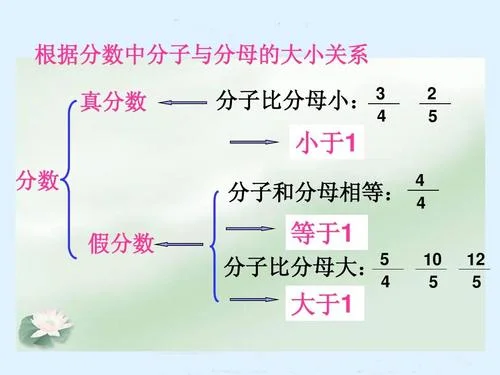 什么是真分数和假分数_2