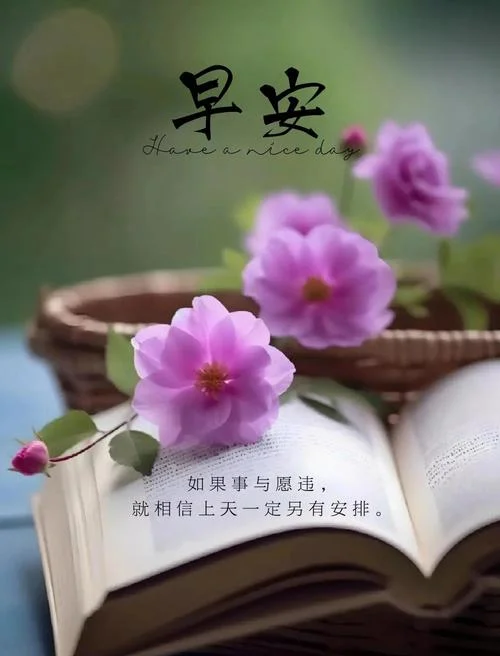 早安经典语录感悟图片_2