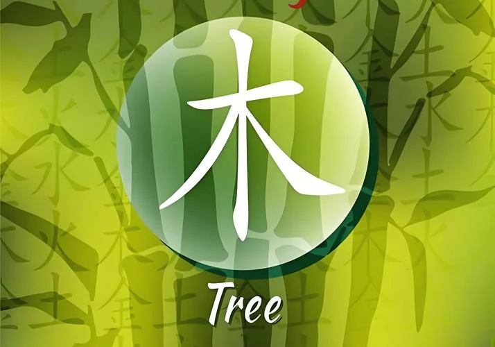 公司起名带木的字_2