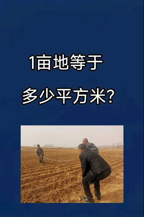 100亩地有多少平方米_2