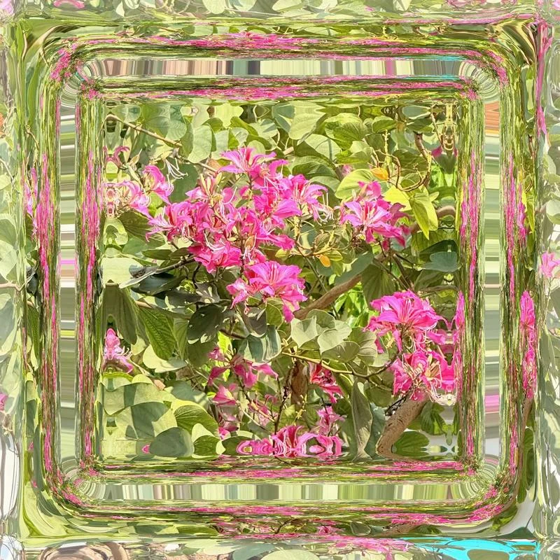 远看色彩近看花出处_1