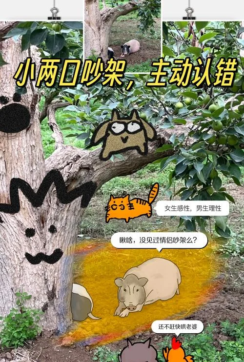 梦见我与情人老婆吵架-梦与妻争执