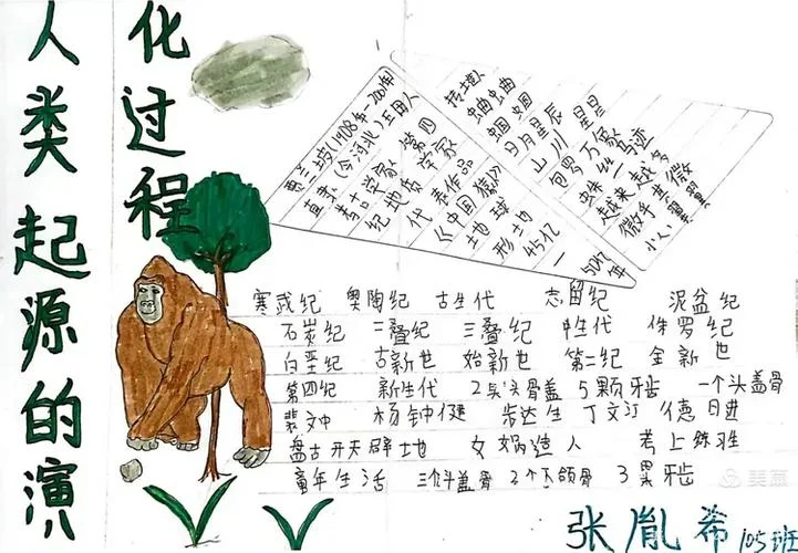 人类的进化过程的感悟_2