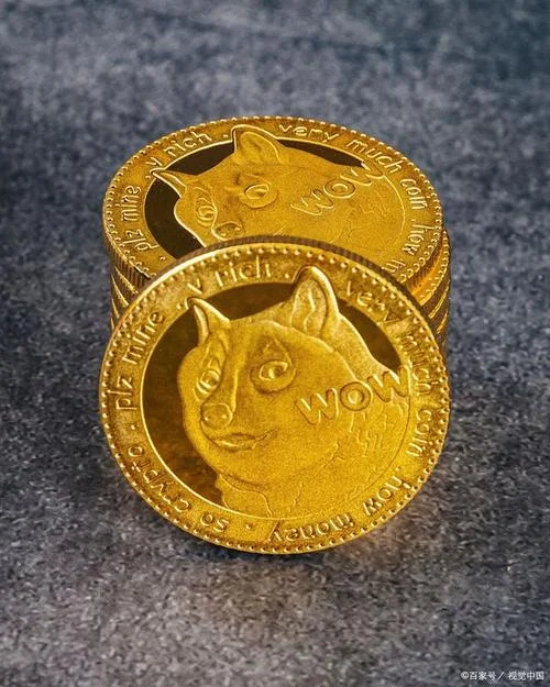 doge币历史最高价币种_1