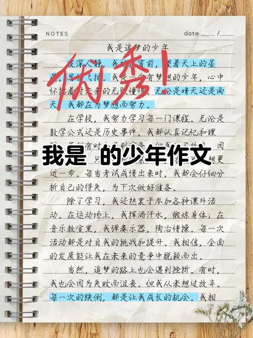 少年风采满分作文800-少年风采作文满分