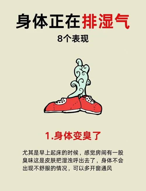 家里潮气太重怎么办-家里潮气重怎么办