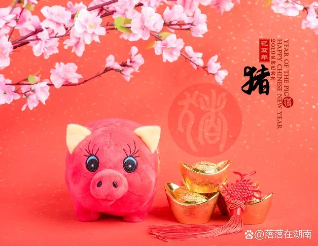 属猪女2017年情感运势-属猪女 2017 年情感运势