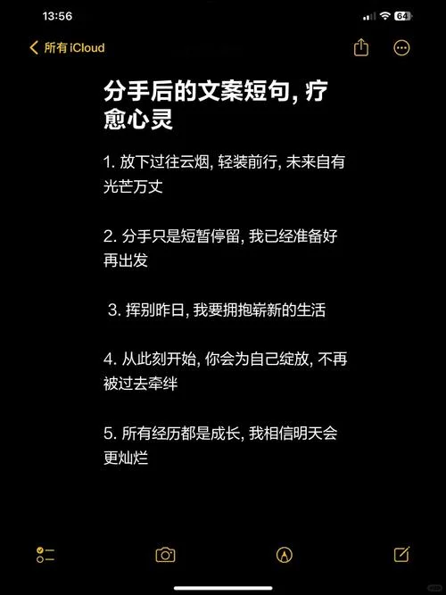 失恋经典文案短句_1