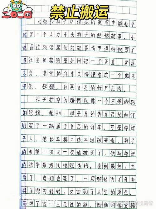 骆驼祥子感悟350字_2