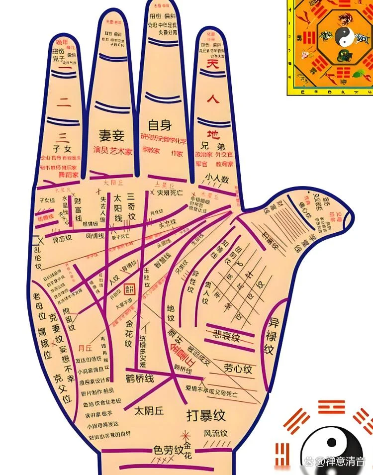 女生怎样的手相命好_1