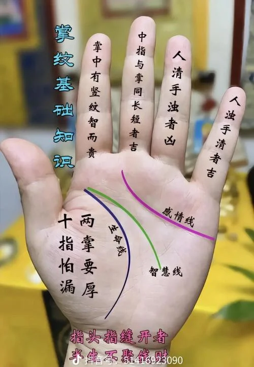 财运线手相图解-财运线手相图解
