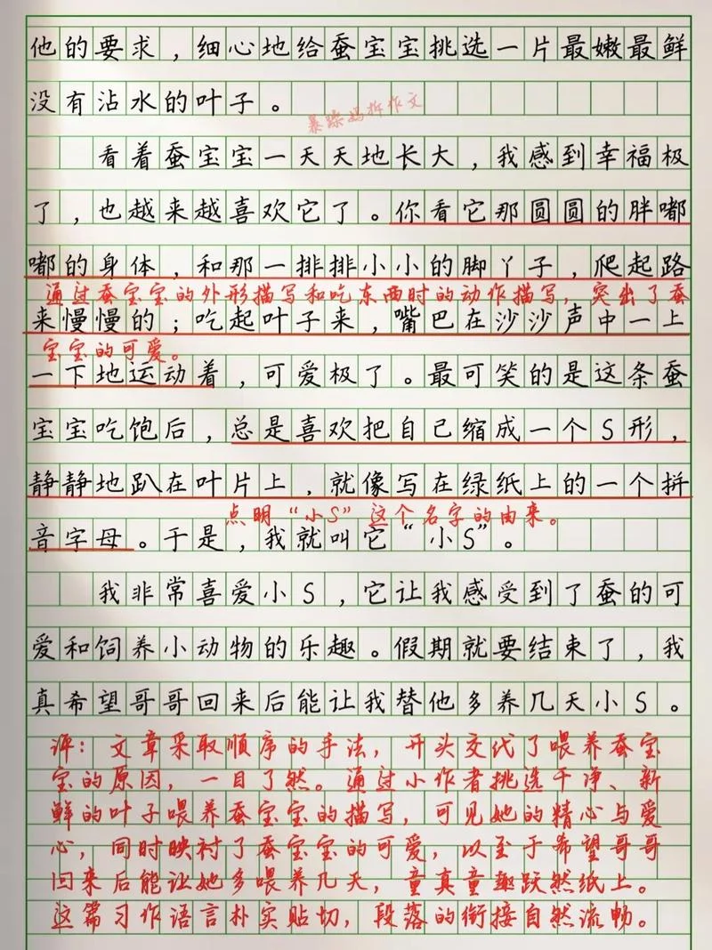 写作文介绍蚕_1