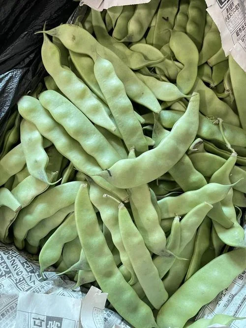 豆角又叫什么_2