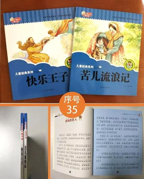 苦儿流浪记的道理和启示-苦难启示人生哲理
