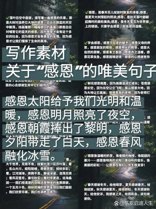 感恩节的收获与感悟-感恩节收获感悟