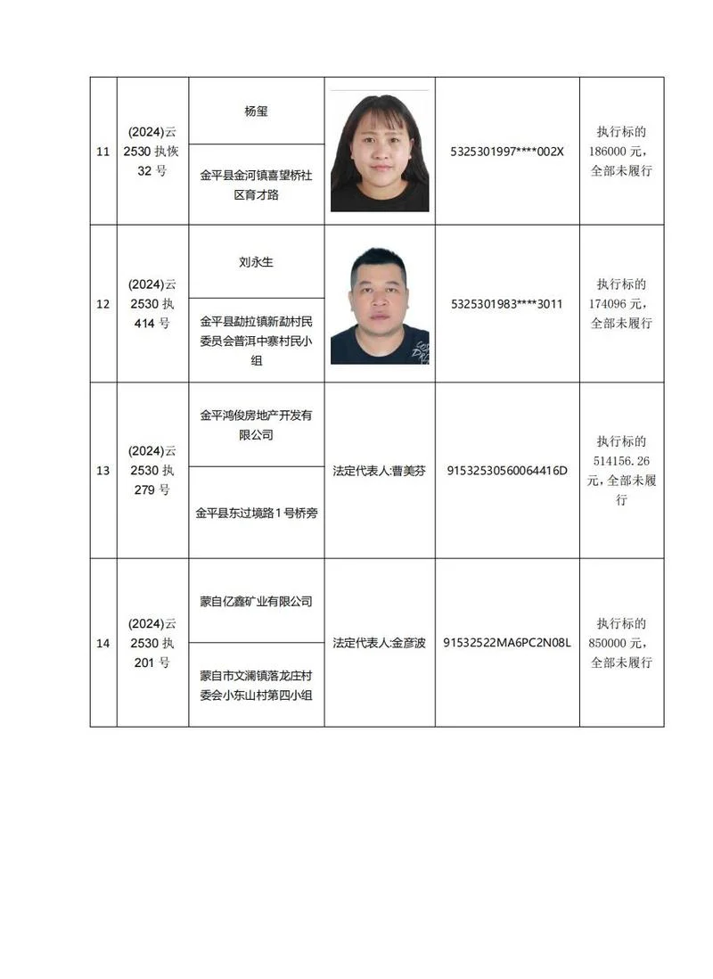 被执行人在哪里可以查-被执行人查询指南