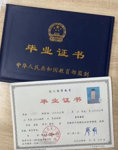 毕业证书没了怎么查学历_2