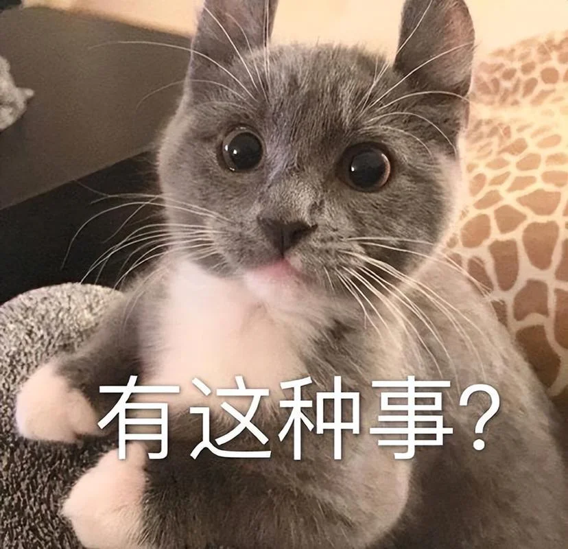惊讶表情包出处_1