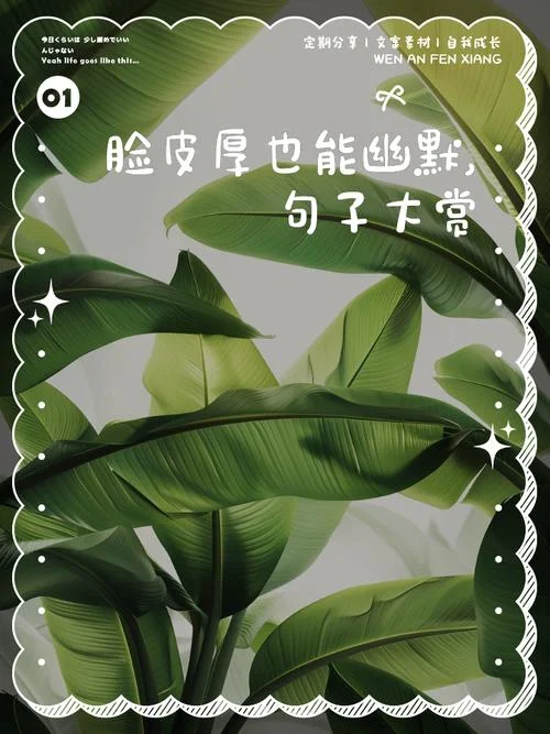 脸皮厚的句子说说_2