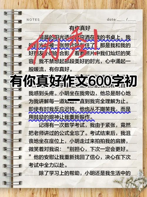 有你真好感悟_1