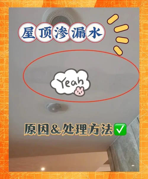 梦见屋里漏雨屋顶塌陷_2