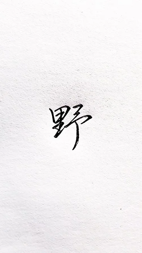 野的部首叫什么名称_2