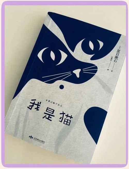 猫的作者是谁写的什么_1