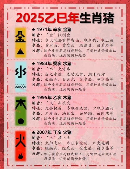 属猪几岁了2021年_2