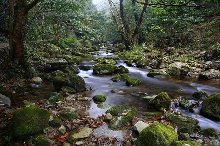 徽州大峡谷风景区介绍-徽州大峡谷行程规划