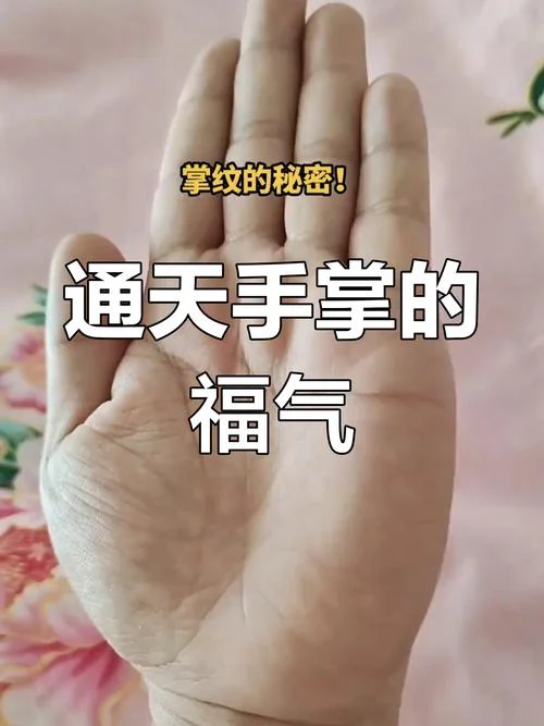 什么手是富贵命图片-富贵手图呈现