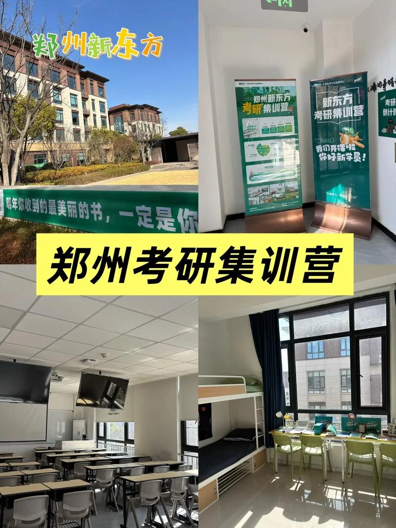 新东方艺考文化课集训_1