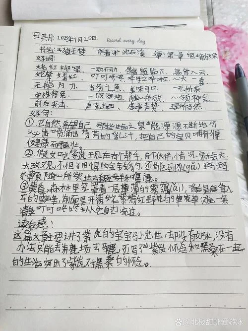 狼王梦读书笔记摘抄_1