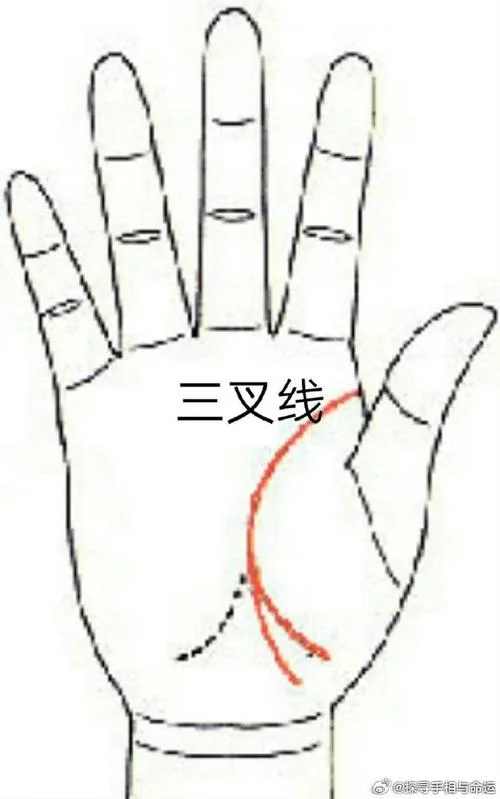生命线的手相图解-生命线手相图解