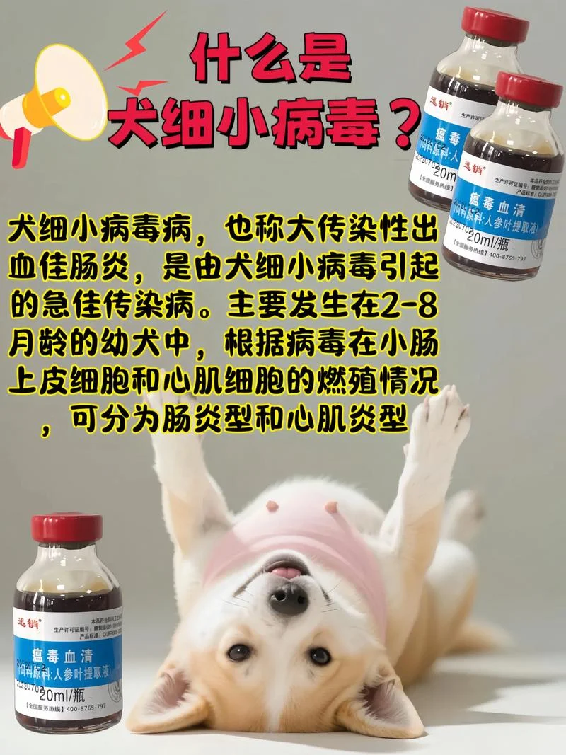 狗得细小怎么办_1
