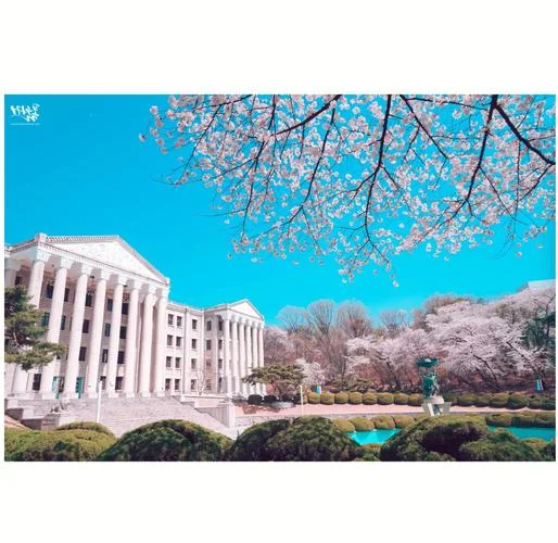 韩国大学都有什么大专_2