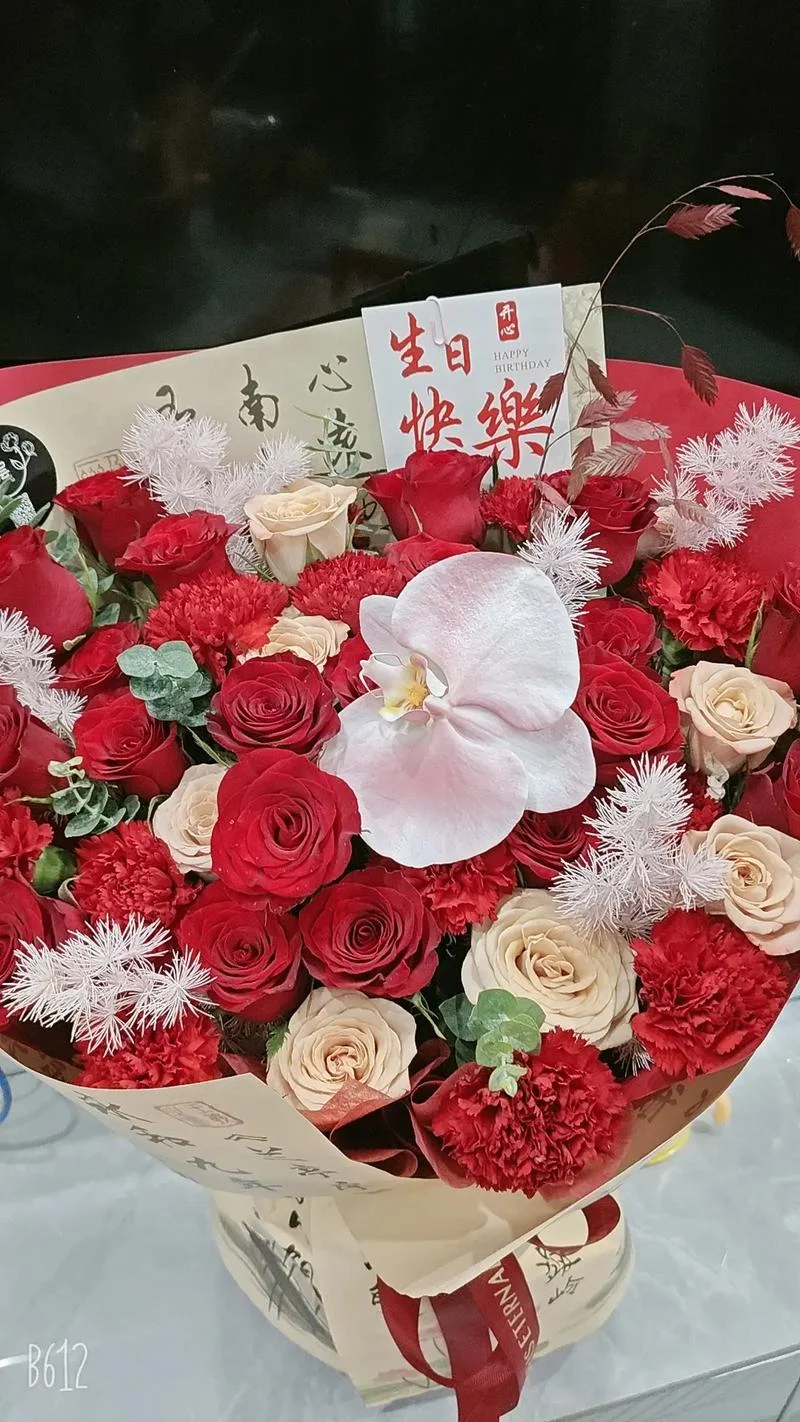 48岁生日感悟-48 岁生日感悟