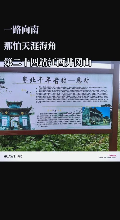 麻风村的历史_2